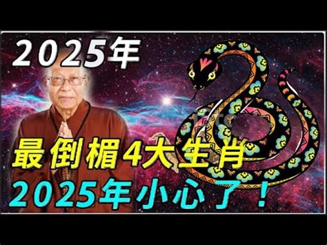 2002年屬|【2002什麼年】2002年屬什麼？轉運妙招就在這！